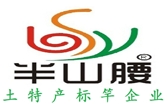 半山腰
