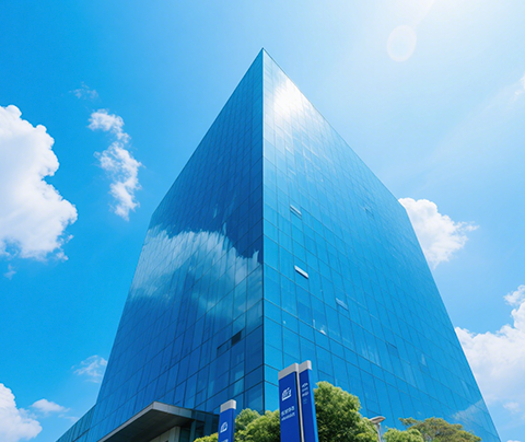 大数据科技公司-半风险转移模式